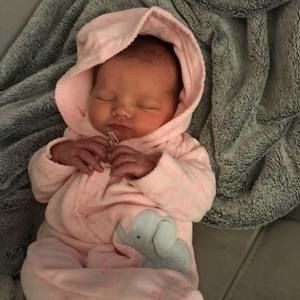 Meet your Posher, Freddy